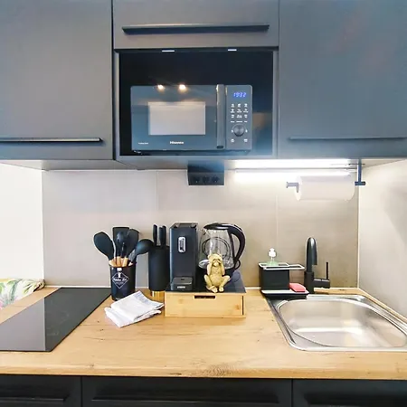 Lägenhet Design Fuer Bis Zu 4 Im 2 Og, Modern, Dachterrasse, Grill, Ruhige Lage, Plus, Wii, Lan Und Wlan *