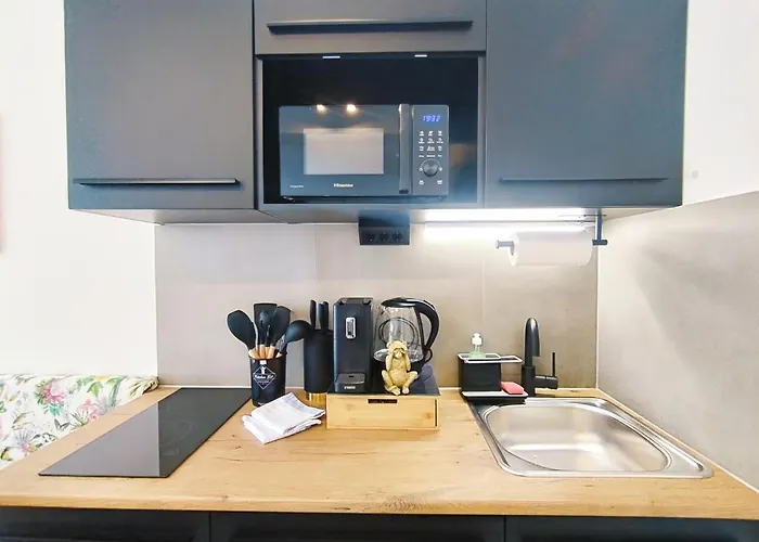 Appartamento Design Fuer Bis Zu 4 Im 2 Og, Modern, Dachterrasse, Grill, Ruhige Lage, Plus, Wii, Lan Und Wlan *