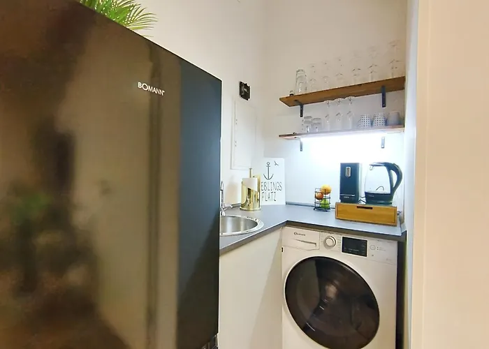 Apartment Design Für Bis Zu 4 Im 2 Og, Modern, Dachterrasse, Grill, Ruhige Lage, Plus, Wii, Lan Und Wlan Nürnberg